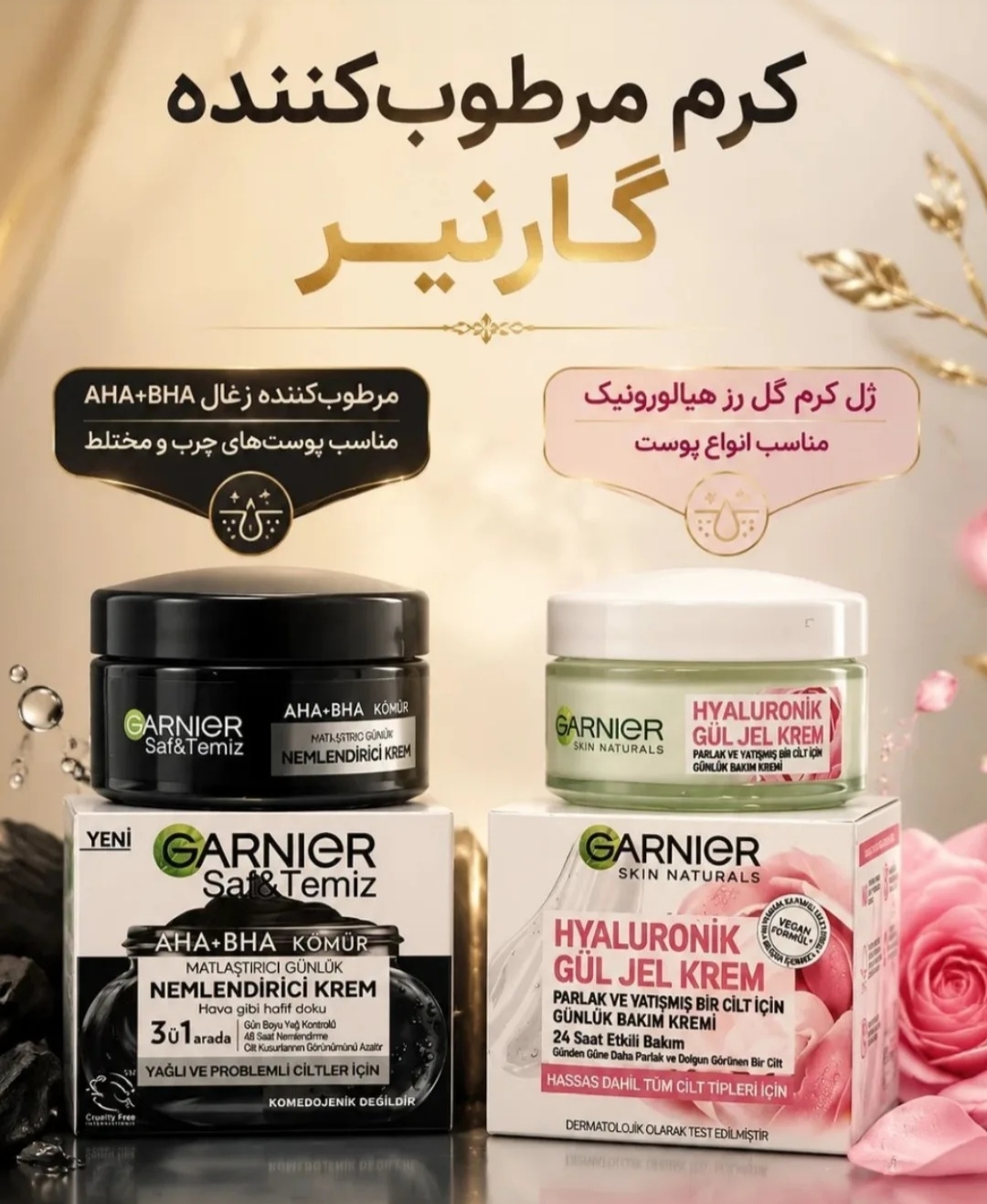 ابرسان گارنیر